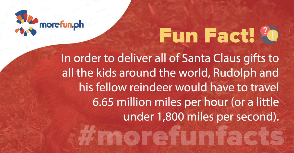 More Fun Facts! Christmas Edition Day 13 (12-13)